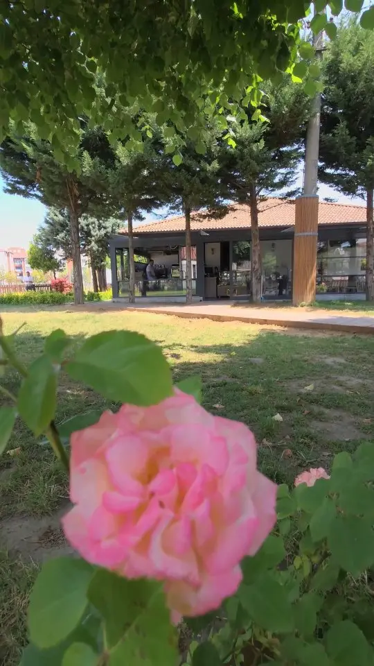🍳🥐 Bayramda mis gibi ıhlamur kokusu, çam ağaçlarının gölgesi, Asar Deresi’nin huzur veren sesi...
Ee, bir de sıcak çay ve zengin kahvaltı olunca 23 Nisan Kahvaltı Evi'nde güne başlamamak olur mu? 😍

Şehrin tam kalbinde, ama gürültüden çok uzakta...
Bayramın 2. gününde, hem damağınız hem ruhunuz bayram etsin 🌿☀️

Çocuklar da unutulmadı! Yan tarafta oyun parkı hazır. Siz kahvenizi yudumlarken onlar enerjilerini atsın 😄

Yeriniz hazır, tabaklar dolu, çay demlendi. 
Bekliyoruz! 

📍23 Nisan Kahvaltı Evi

@kahvalti.evi.duzce

#23NisanKahvaltıEvi #BayramdaKahvaltıBaşkaOlur #AsarKenarıKeyfi #KahvaltıBahaneHuzurŞahane #Düzce’deBayram